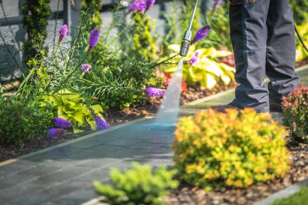 Best Parking Lot and Garage Cleaning  in Clear Lake, SD