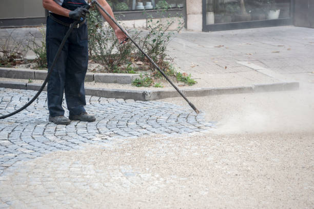 Best Restaurant Pressure Washing  in Clear Lake, SD